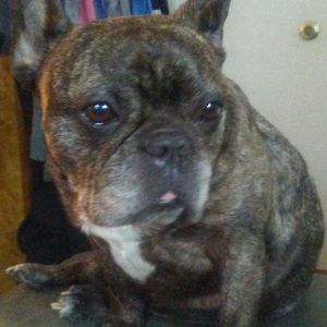 Meet your Posher, Sherri